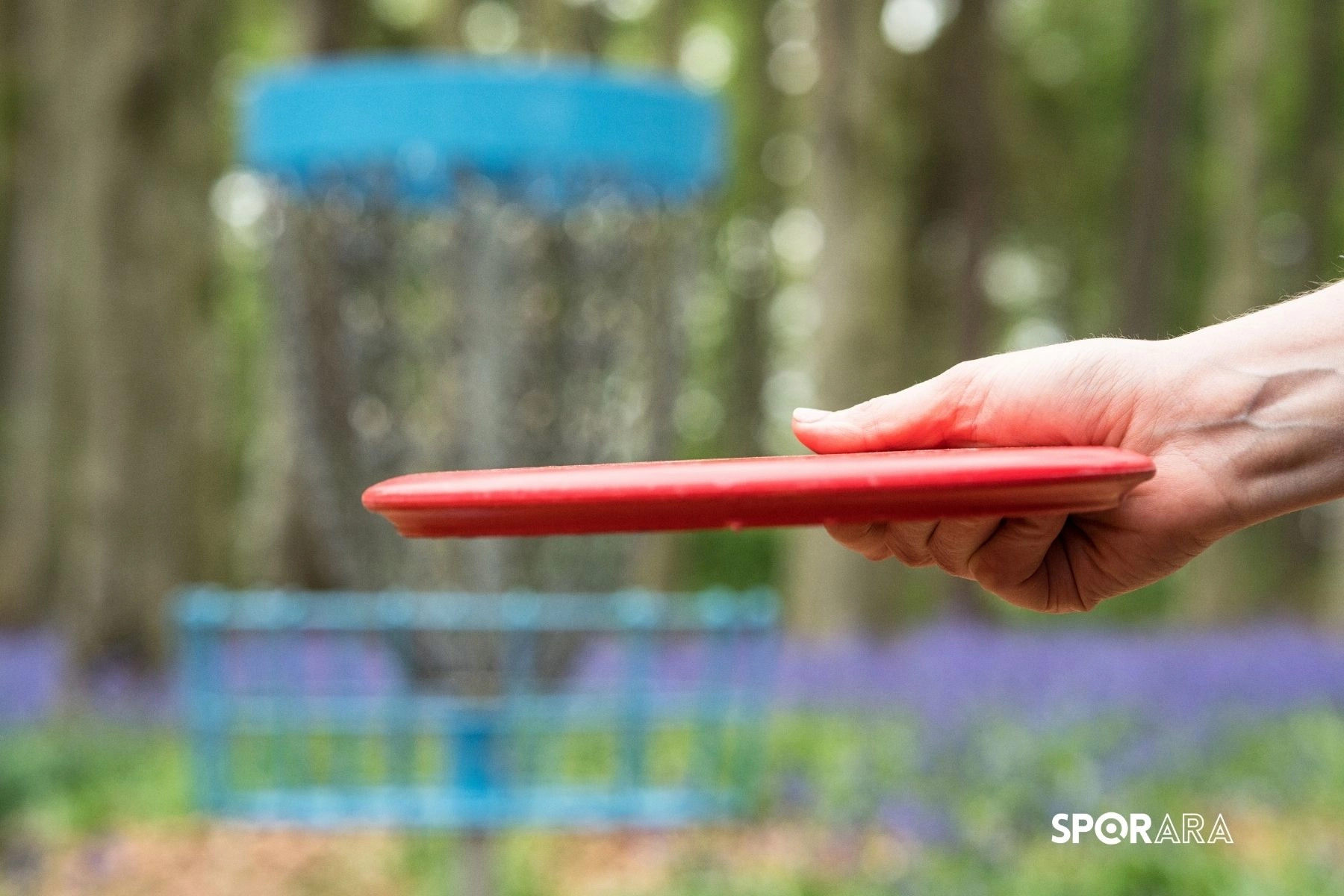 Disk Golf: Teknik Terimler ve Anlamları