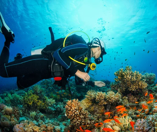 Tüplü Dalış Deneyimi - Discovery Dive