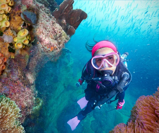 Tüplü Dalış Deneyimi - Discovery Dive
