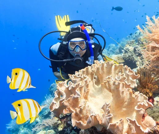 Tüplü Dalış Deneyimi - Discovery Dive