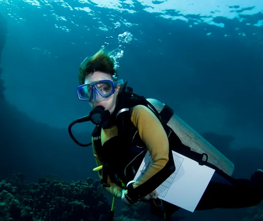 Tüplü Dalış Eğtimi - Open Water