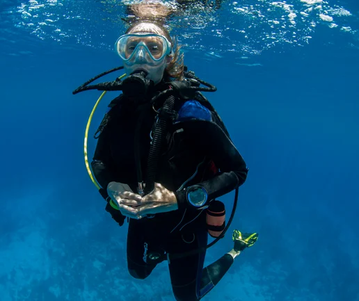 Tüplü Dalış Eğtimi - Open Water