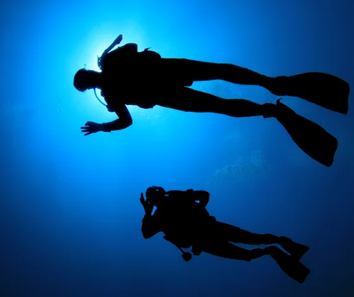 Tüplü Dalış Eğtimi - Open Water