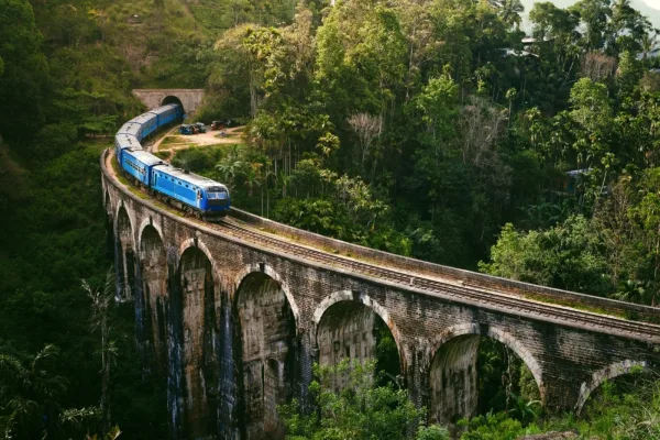 Sri Lanka Macera Turu – 6 Gece 7 Gün Safari, Çay Tarlaları ve Balina - Görsel 4