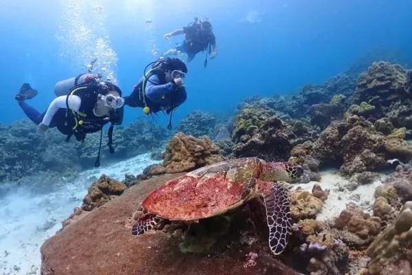Phuket Adventure Tour – 7 Days of Phi Phi, Diving and Muay Thai - Görsel 3