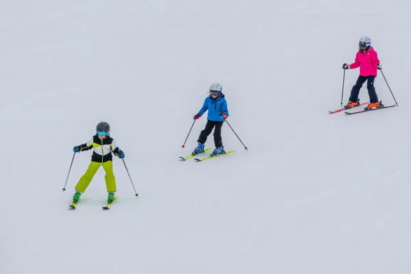 Sarıkamış (Kars) Kayak & Snowboard Kış Kampı - Görsel 2