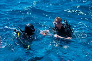Tüplü Dalış Eğtimi - Open Water