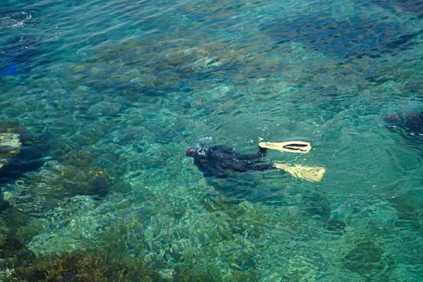 Kuşadası Tüplü Dalış Eğitimi - Görsel 1