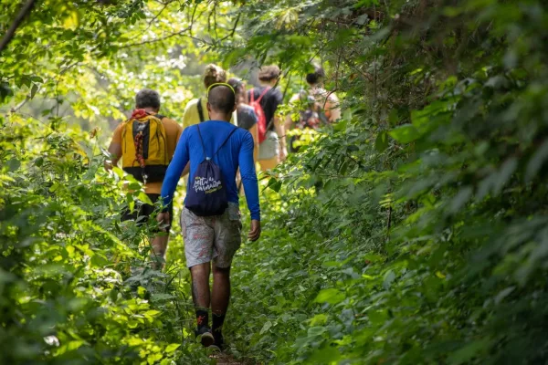 Belgrad Ormanı Trekking Deneyimi - Görsel 3