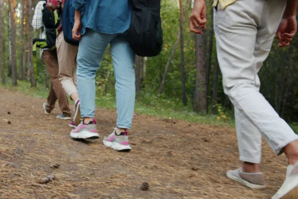Belgrad Ormanı Trekking Deneyimi - Görsel 1