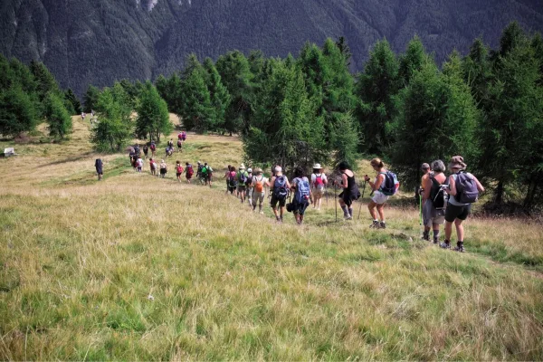 Kaz Dağları Trekking Deneyimi - Görsel 3