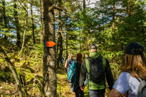 Aziz Paul Yolu Trekking Deneyimi - Görsel 3