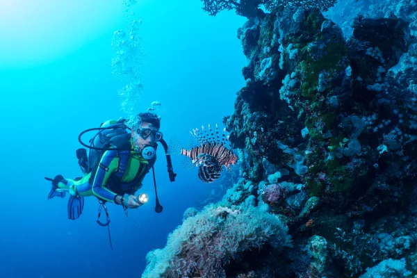 Hurghada (Mısır) Tüplü Dalış Turu - Görsel 1