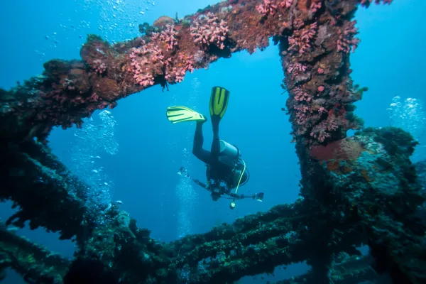 Sudan (Kızıldeniz) Tüplü Dalış Turu - Görsel 1