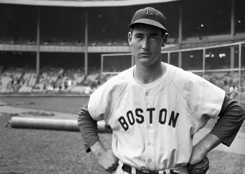 Ted Williams Beyzbol Oyuncusu Ted Williams
